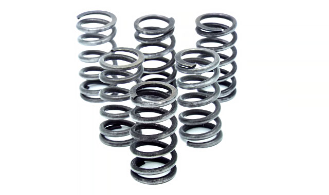 trk clutch spring